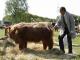 thumbnail 117 --7262.jpg